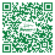 QR-код этой страницы