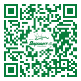 QR-код этой страницы