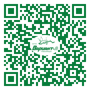 QR-код этой страницы