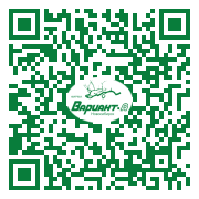 QR-код этой страницы