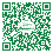 QR-код этой страницы