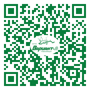 QR-код этой страницы