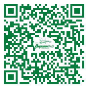 QR-код этой страницы