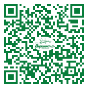 QR-код этой страницы