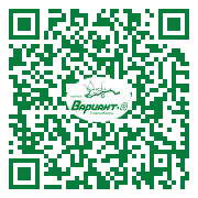 QR-код этой страницы