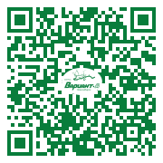 QR-код этой страницы