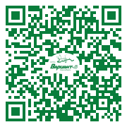 QR-код этой страницы
