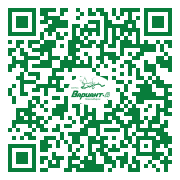 QR-код этой страницы