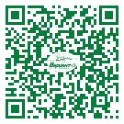 QR-код этой страницы