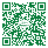 QR-код этой страницы