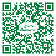 QR-код этой страницы