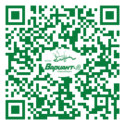 QR-код этой страницы