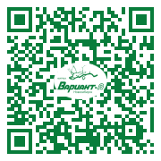 QR-код этой страницы