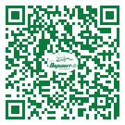 QR-код этой страницы