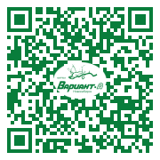 QR-код этой страницы