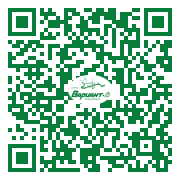 QR-код этой страницы