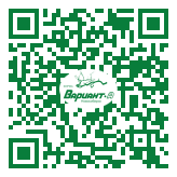 QR-код этой страницы