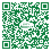 QR-код этой страницы