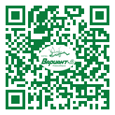 QR-код этой страницы