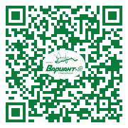 QR-код этой страницы