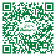 QR-код этой страницы