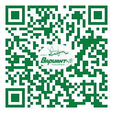 QR-код этой страницы