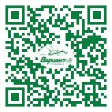 QR-код этой страницы