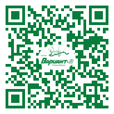 QR-код этой страницы