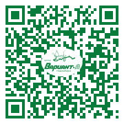 QR-код этой страницы