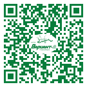 QR-код этой страницы