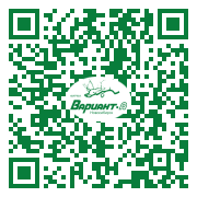 QR-код этой страницы