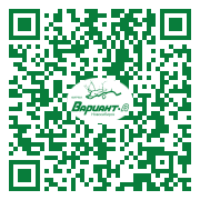 QR-код этой страницы