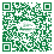 QR-код этой страницы