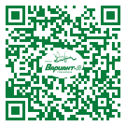 QR-код этой страницы