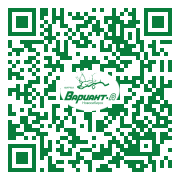 QR-код этой страницы