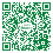 QR-код этой страницы
