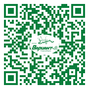 QR-код этой страницы