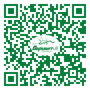 QR-код этой страницы