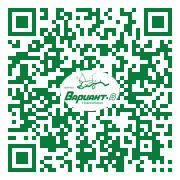 QR-код этой страницы