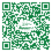 QR-код этой страницы