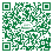 QR-код этой страницы