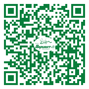 QR-код этой страницы