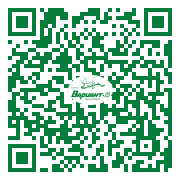 QR-код этой страницы