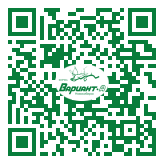 QR-код этой страницы