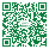 QR-код этой страницы