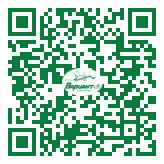 QR-код этой страницы