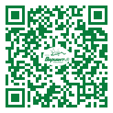 QR-код этой страницы
