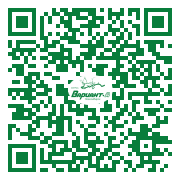 QR-код этой страницы