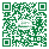 QR-код этой страницы