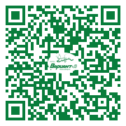 QR-код этой страницы